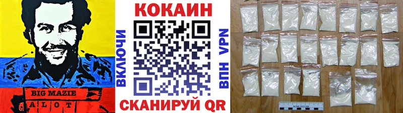 Cocaine Fish Scale  Купить закладки  Беломорск 
