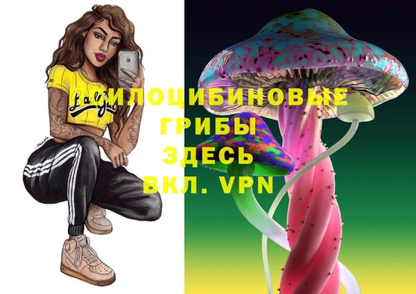 mix Карпинск