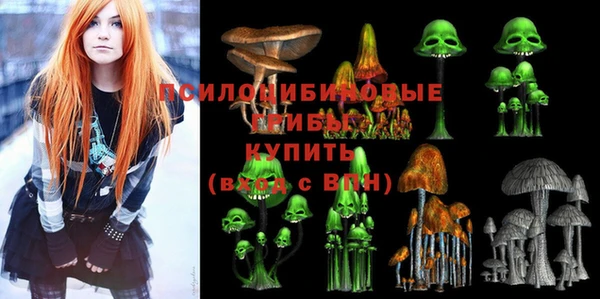 mix Карпинск