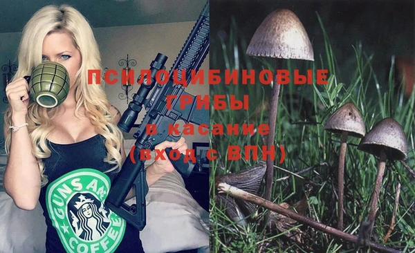 mix Карпинск