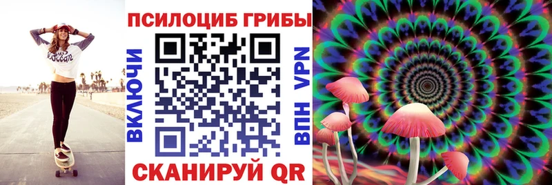 Купить где  Беломорск  Псилоцибиновые грибы Magic Shrooms 